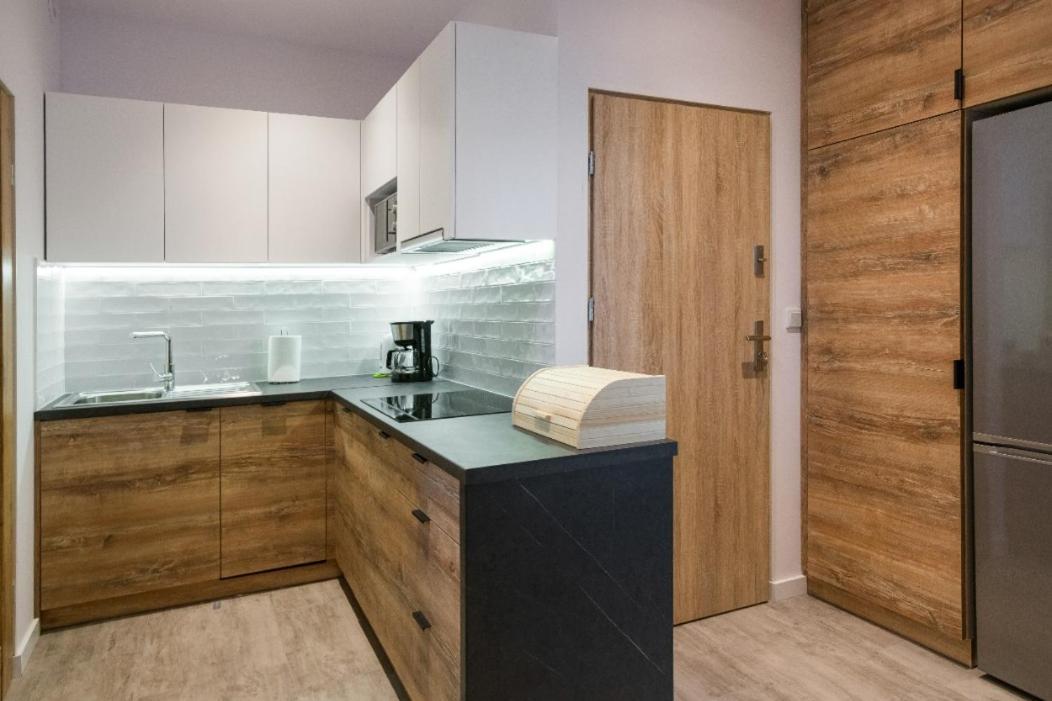 Fancy Apartments With Lift And A/C كراكوفيا المظهر الخارجي الصورة